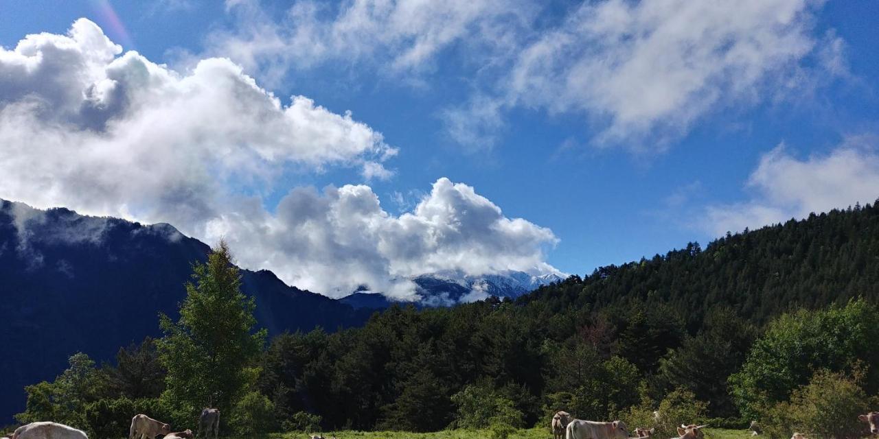 Bordes Pirineu, Costuix Hotel Areu Bagian luar foto